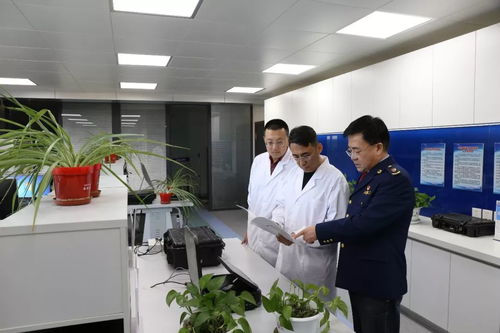 大數(shù)據(jù)驅(qū)動(dòng)的定制化監(jiān)測(cè) 如何利用軟件開(kāi)發(fā)高效發(fā)掘與研判網(wǎng)絡(luò)食品安全案件線索